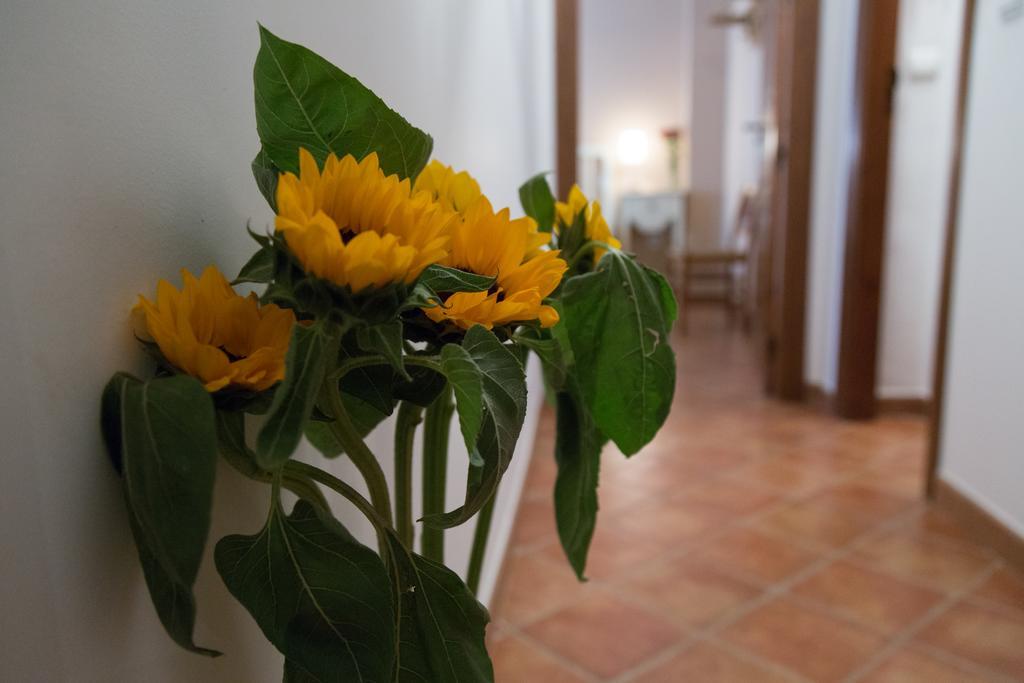 Casa Rural Migolla Osuna Esterno foto